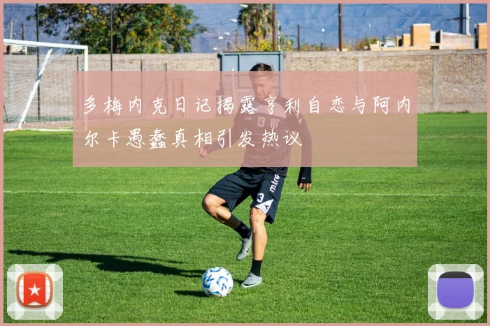 多梅内克日记揭露亨利自恋与阿内尔卡愚蠢真相引发热议