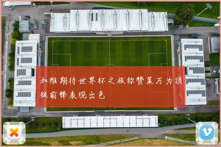 加维期待世界杯之旅称赞莱万为顶级前锋表现出色